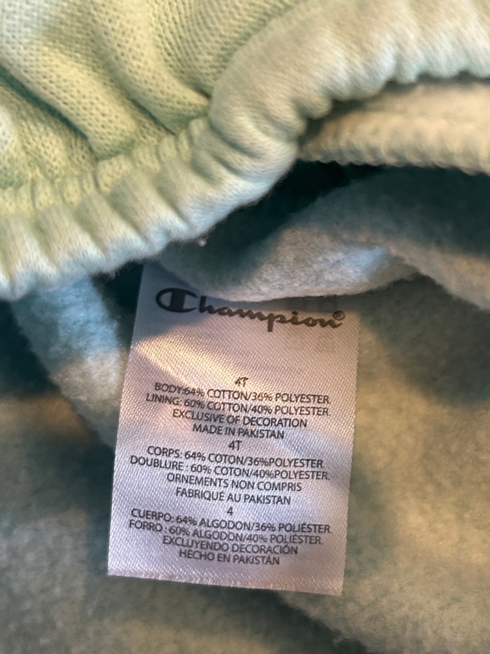 NWOT Champion Kids Light Mint Green Hoodie & Joggers Set Size 4T - Picture 3 of 5